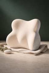 Coussin Lombaire Ergonomique Mousse Mémoire de Forme – Bureau Voiture Canapé